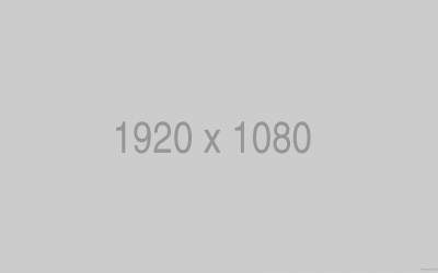 Maecenas laoreet sapien